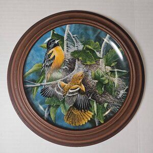 Encyclopedia Britannica Birds Of Your Garden Baltimore Oriole Plate c.1986